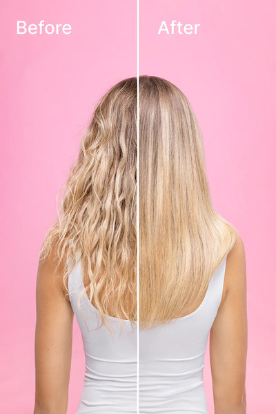 PERFECT BRUSH HAIR DRYER